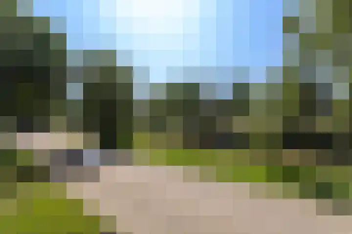 Trommelaar 49 Veenendaal thumbnail 18