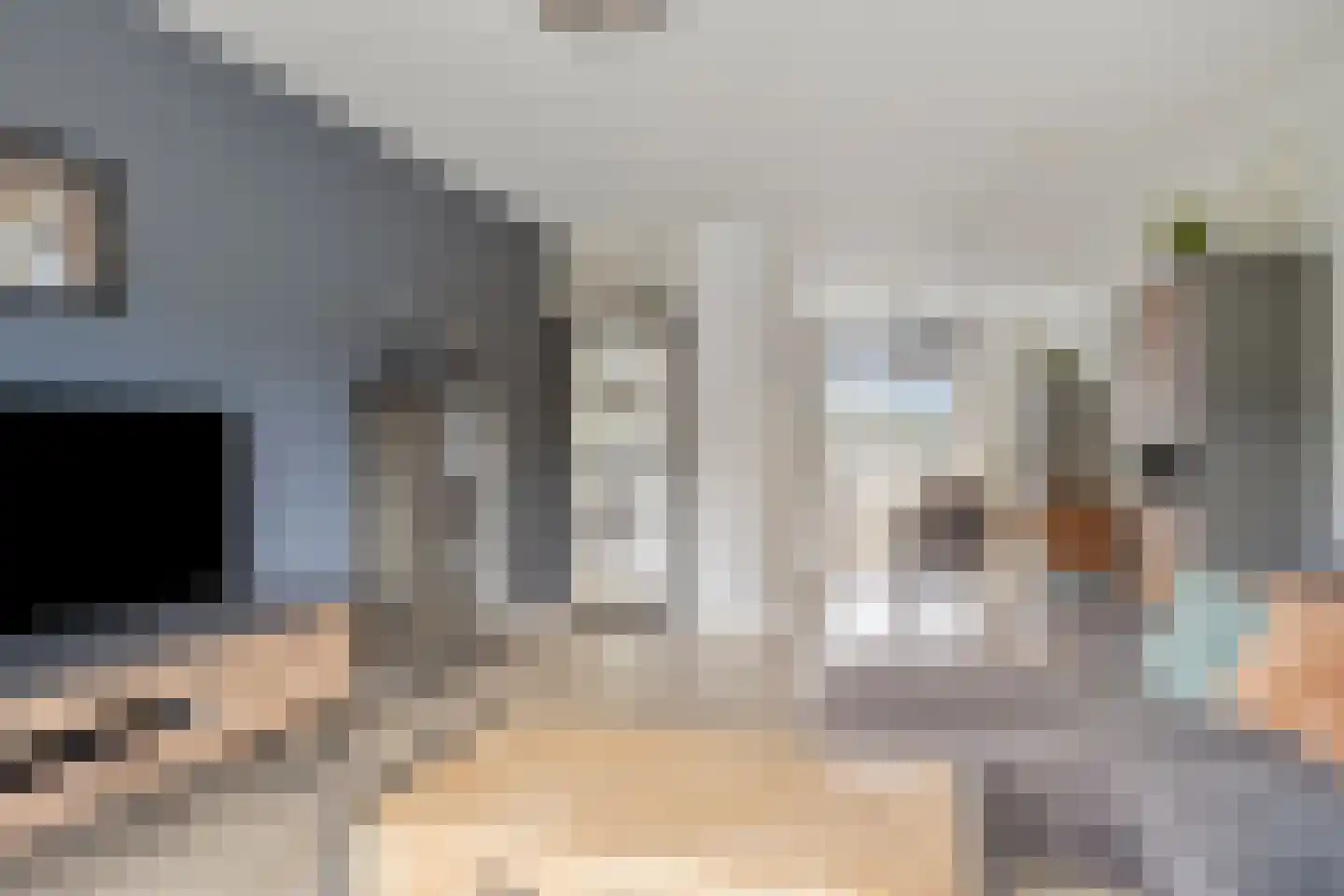 Trommelaar 7 Veenendaal thumbnail 14