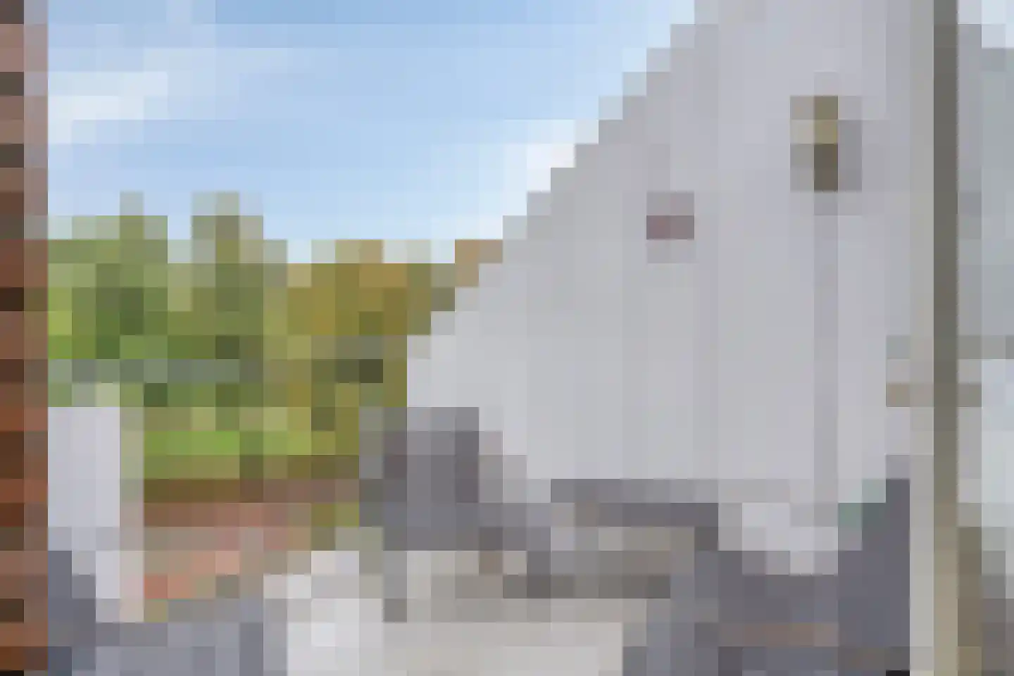 Trommelaar 7 Veenendaal thumbnail 24