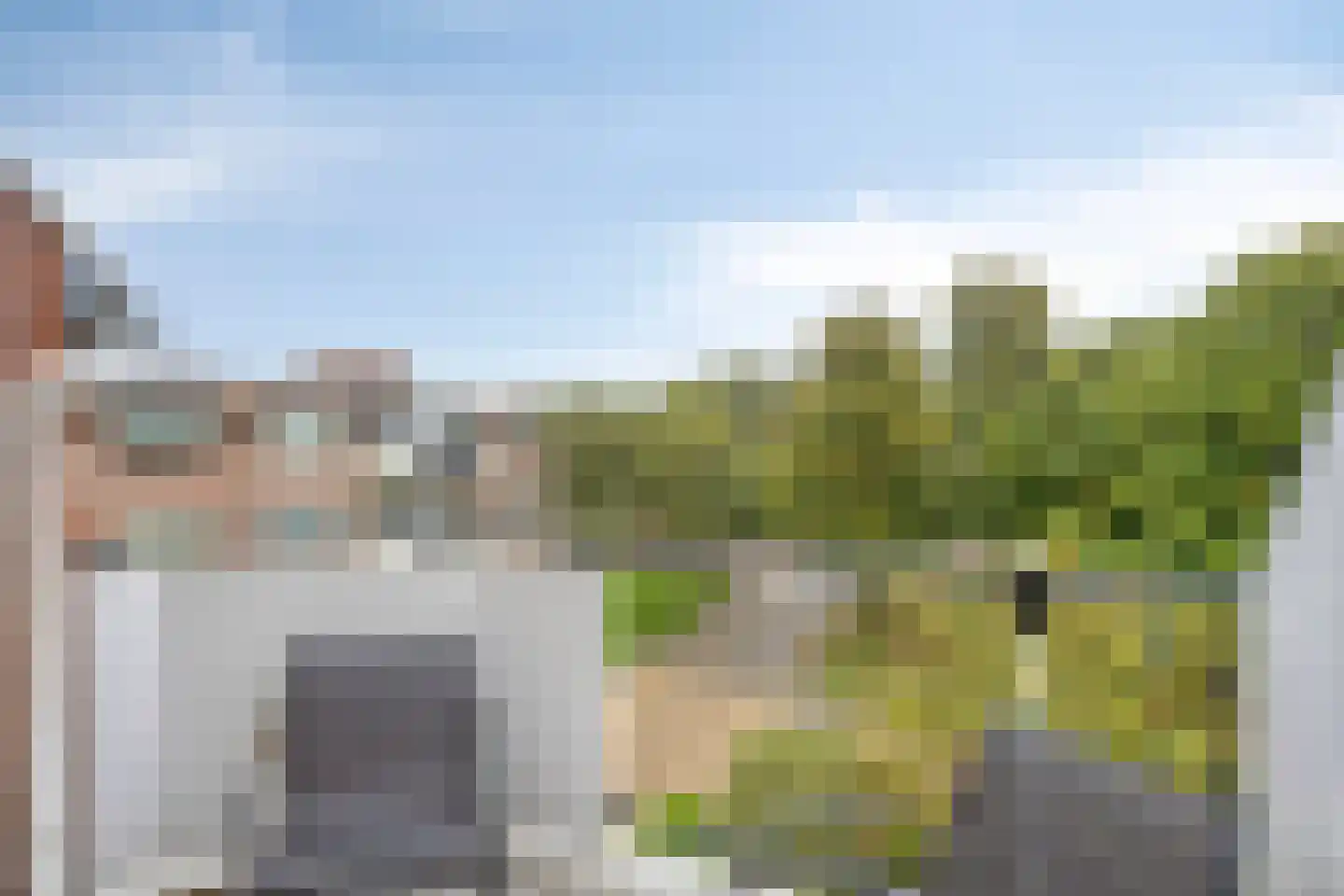 Trommelaar 7 Veenendaal thumbnail 25