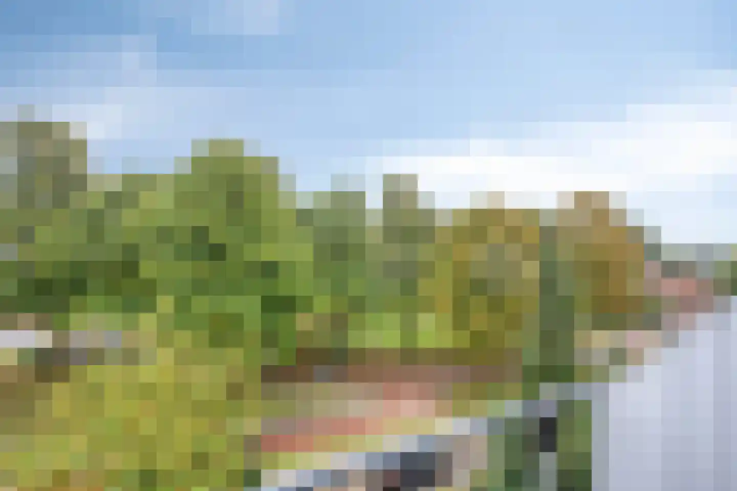 Trommelaar 7 Veenendaal thumbnail 26