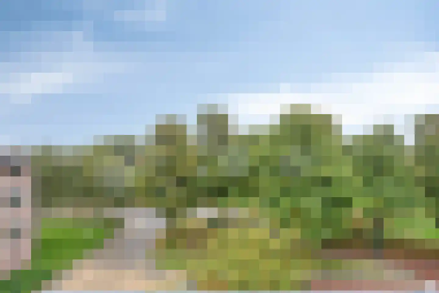 Trommelaar 7 Veenendaal thumbnail 27