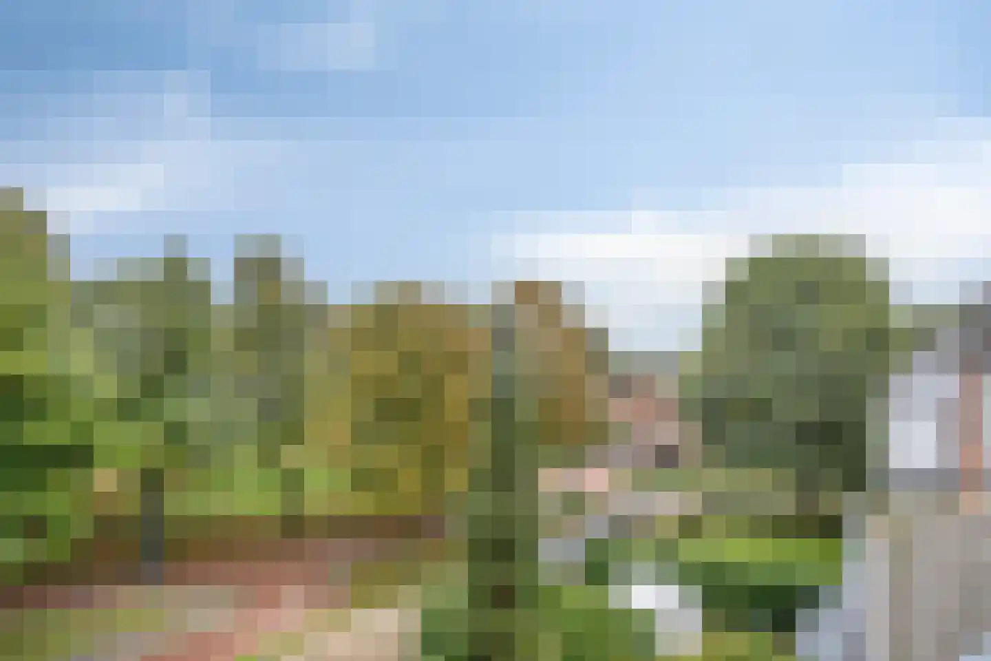 Trommelaar 7 Veenendaal thumbnail 28