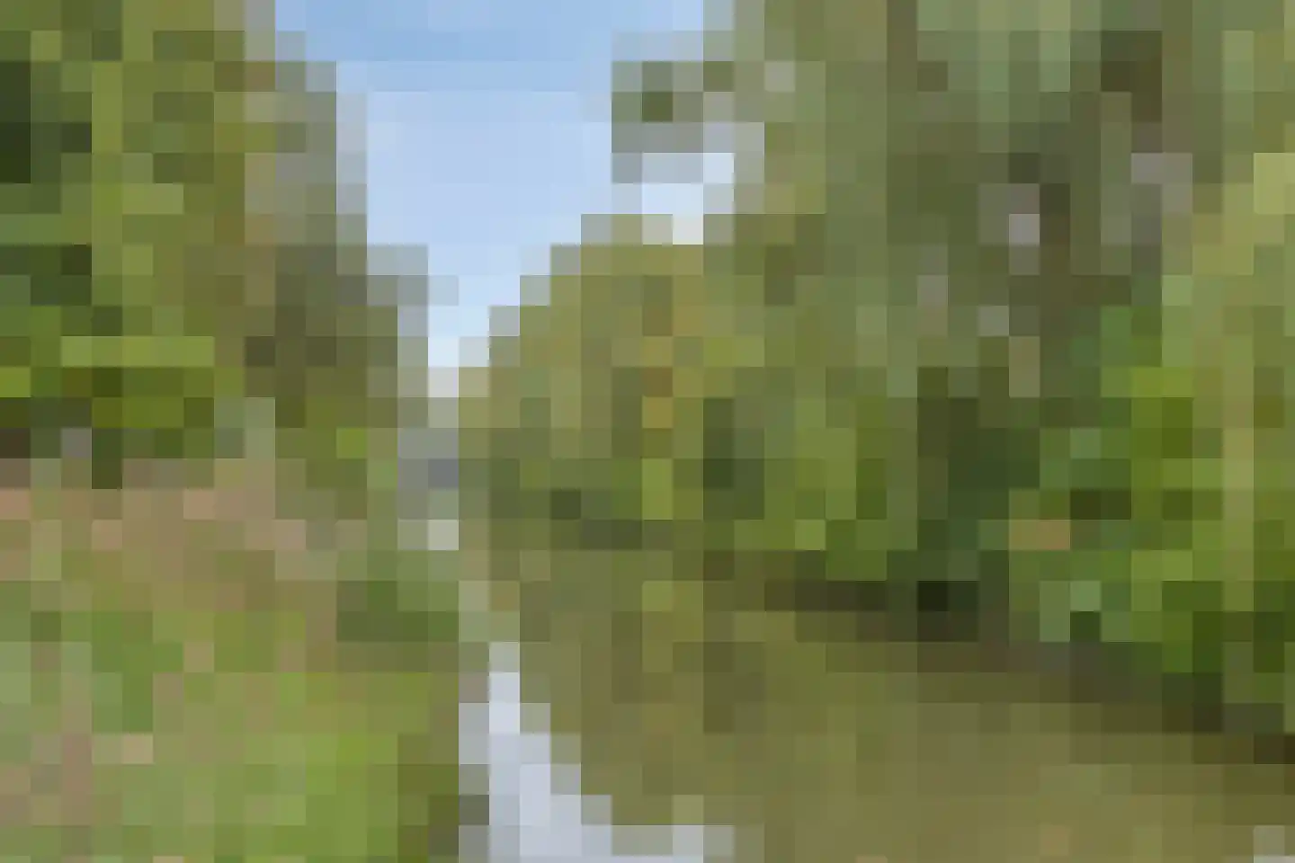 Trommelaar 7 Veenendaal thumbnail 29