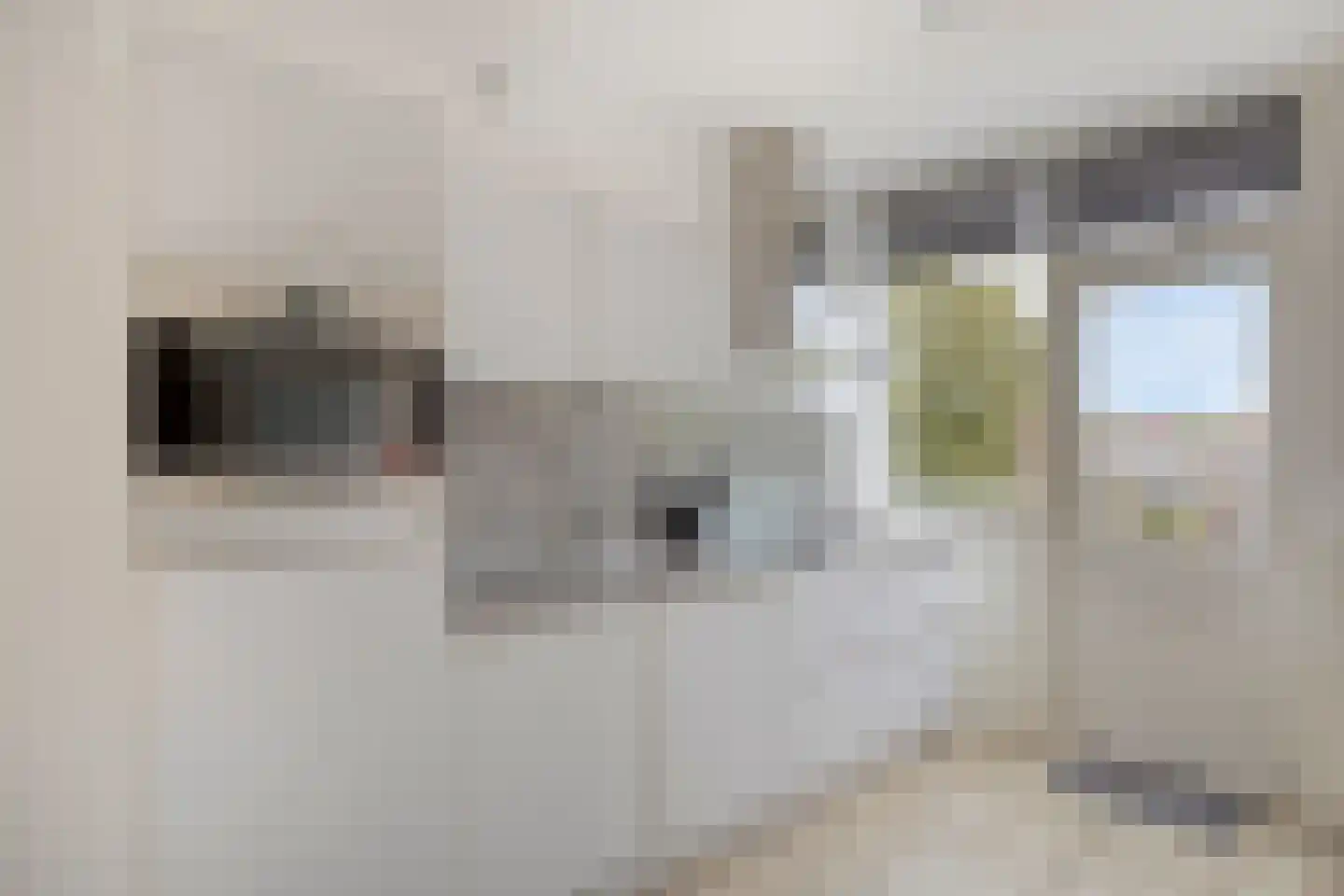 Trommelaar 7 Veenendaal thumbnail 4