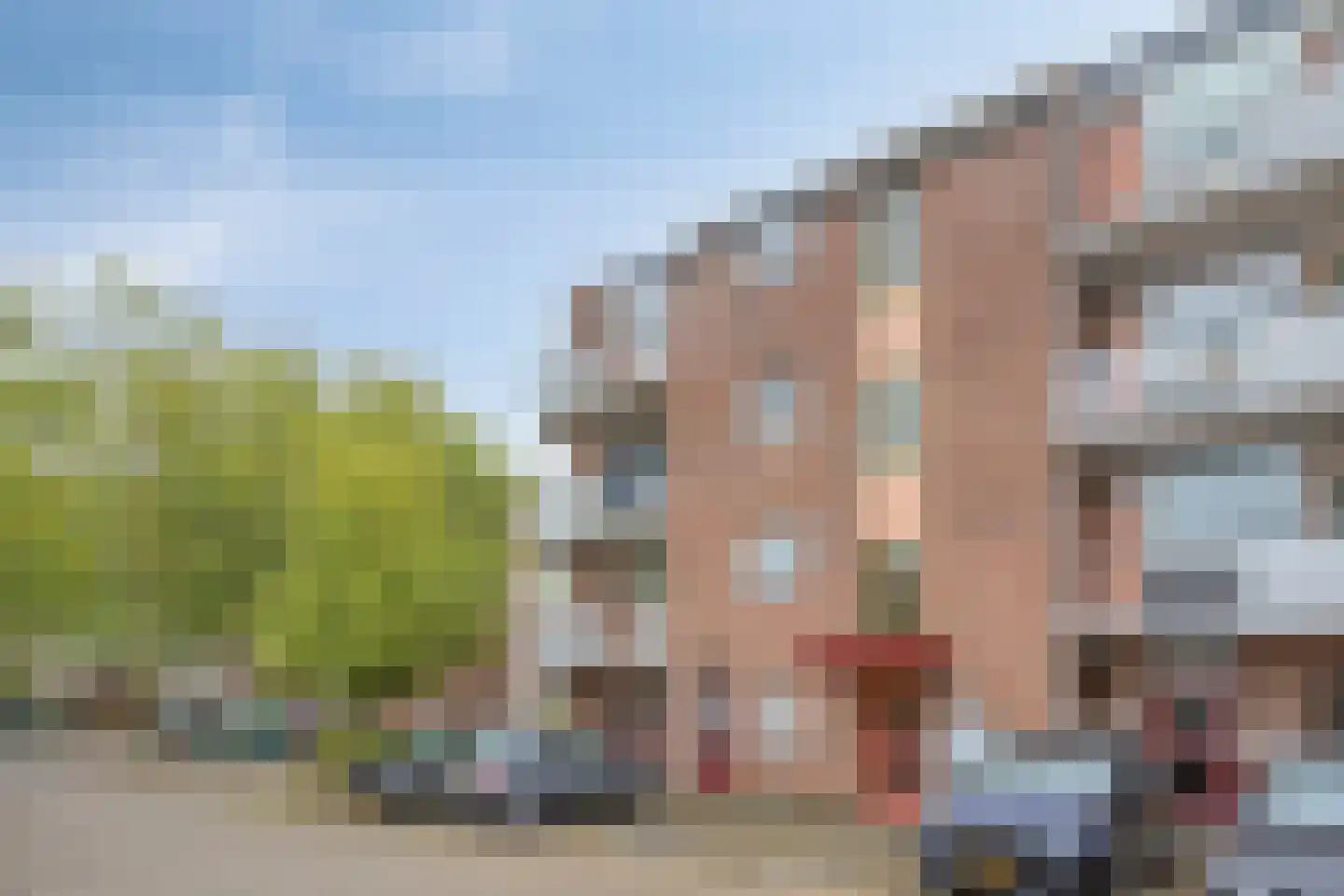 Trommelaar 7 Veenendaal thumbnail 6