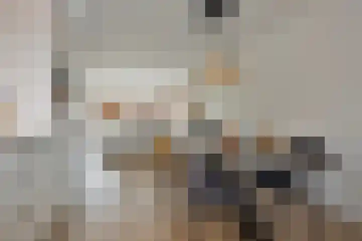 Trommelaarshoeve 127 Apeldoorn thumbnail 11