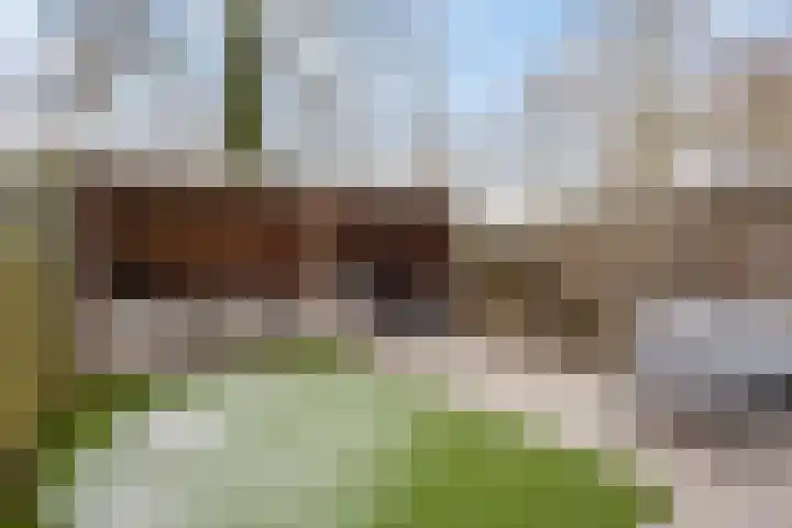 Trommelaarshoeve 127 Apeldoorn thumbnail 26