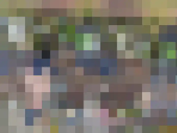 Trommelaarshoeve 127 Apeldoorn thumbnail 29