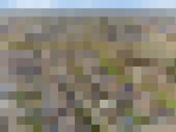Trommelaarshoeve 127 Apeldoorn thumbnail 30