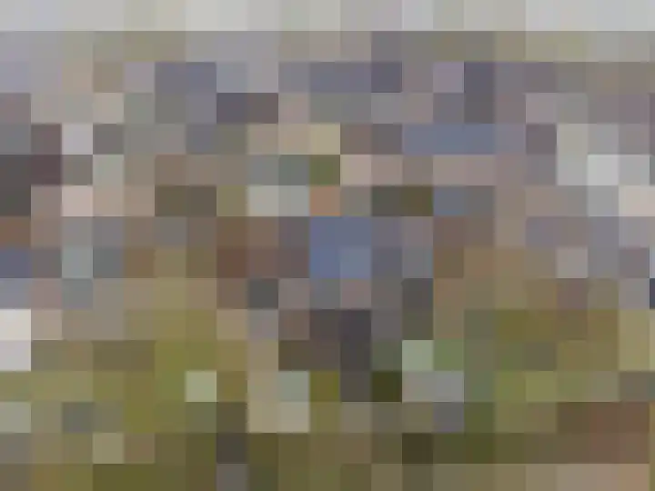 Trommelaarshoeve 127 Apeldoorn thumbnail 33