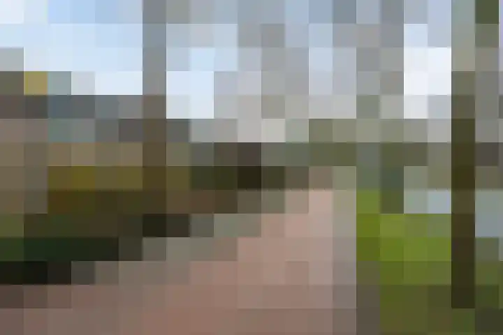 Trommelaarshoeve 127 Apeldoorn thumbnail 41