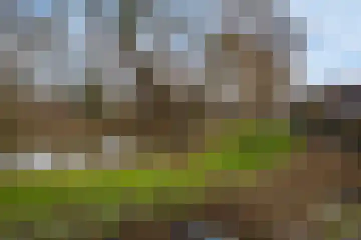 Trommelaarshoeve 127 Apeldoorn thumbnail 42