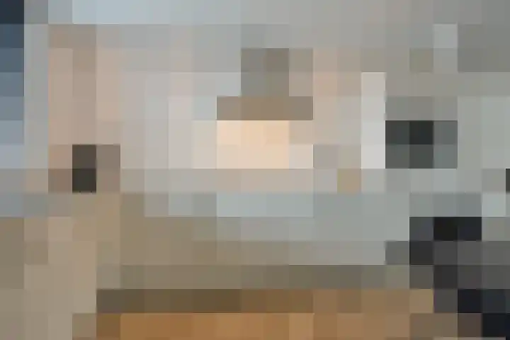 Trommelaarshoeve 127 Apeldoorn thumbnail 9