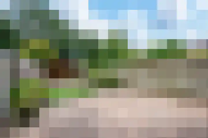 Trommelaarshoeve 223 Apeldoorn thumbnail 19