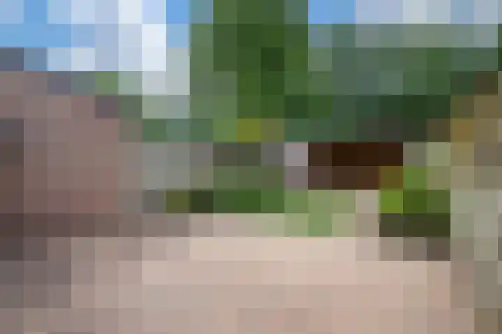 Trommelaarshoeve 223 Apeldoorn thumbnail 20