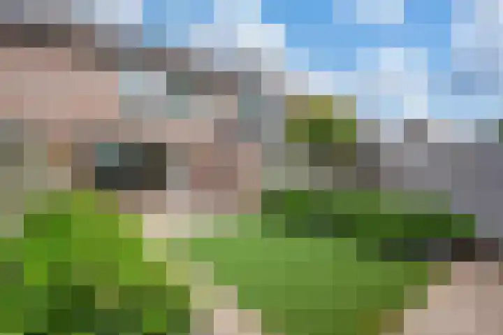Trommelaarshoeve 223 Apeldoorn thumbnail 22