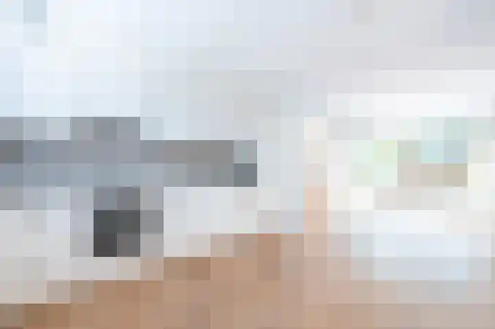 Trommelaarshoeve 223 Apeldoorn thumbnail 6