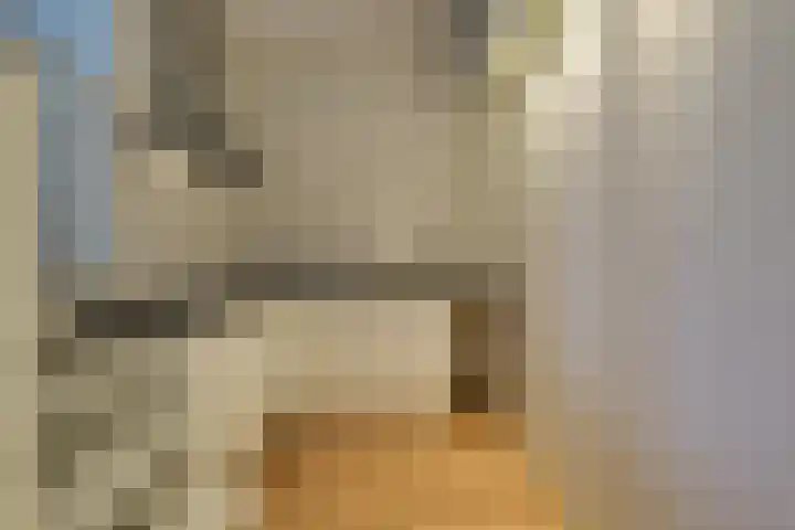 Trommelstraat 21 Hoorn thumbnail 6