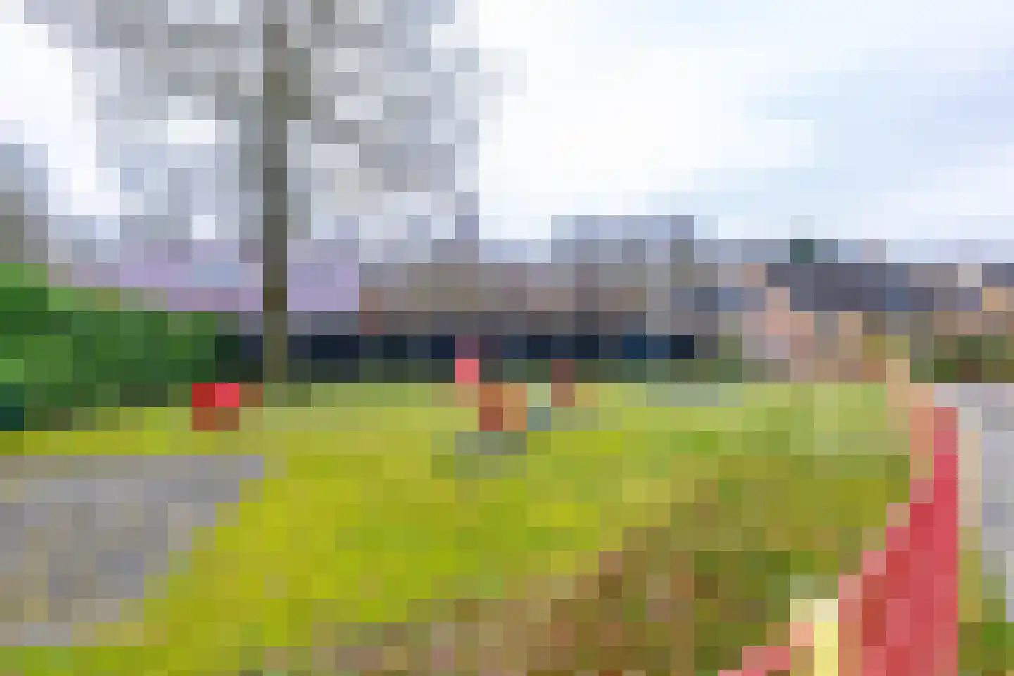 Tromp Meestersstraat 3 Zuidbroek thumbnail 33