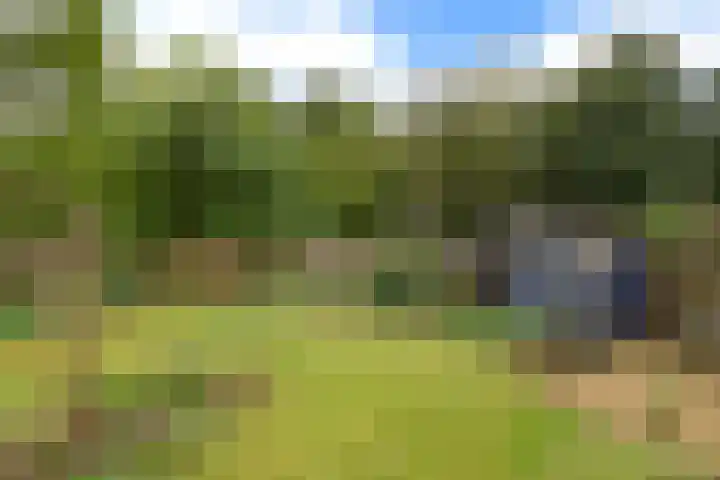 Trompenbergerweg 47 Hilversum thumbnail 4