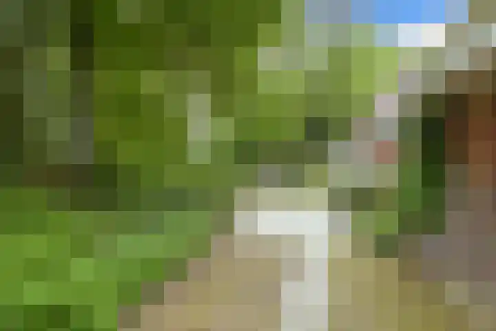 Trompenbergerweg 47 Hilversum thumbnail 5