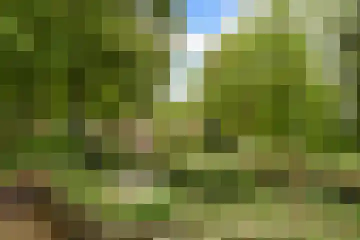 Trompenbergerweg 47 Hilversum thumbnail 6
