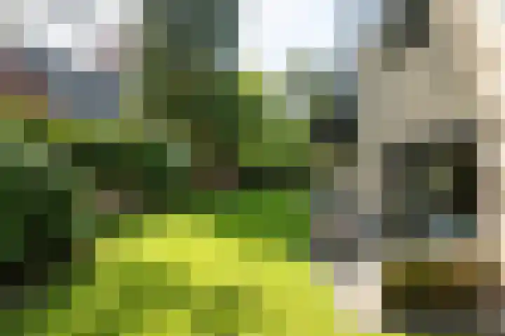 Trompenbergerweg 57 C Hilversum thumbnail 31
