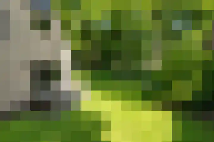 Trompenbergerweg 57 C Hilversum thumbnail 32