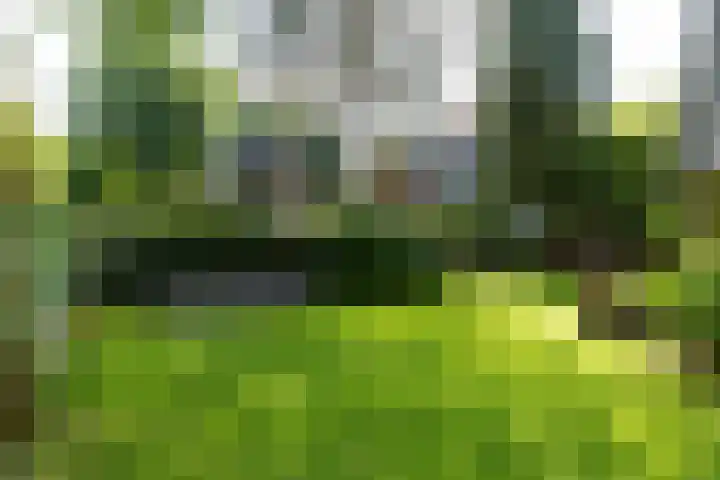Trompenbergerweg 57 C Hilversum thumbnail 33