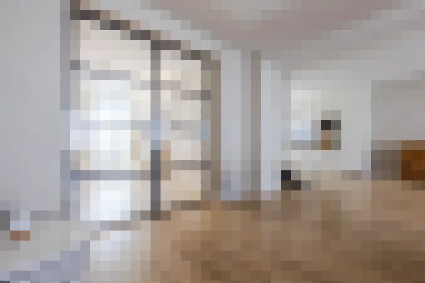 Trompenbergstraat 2 D Egmond aan Zee thumbnail 18