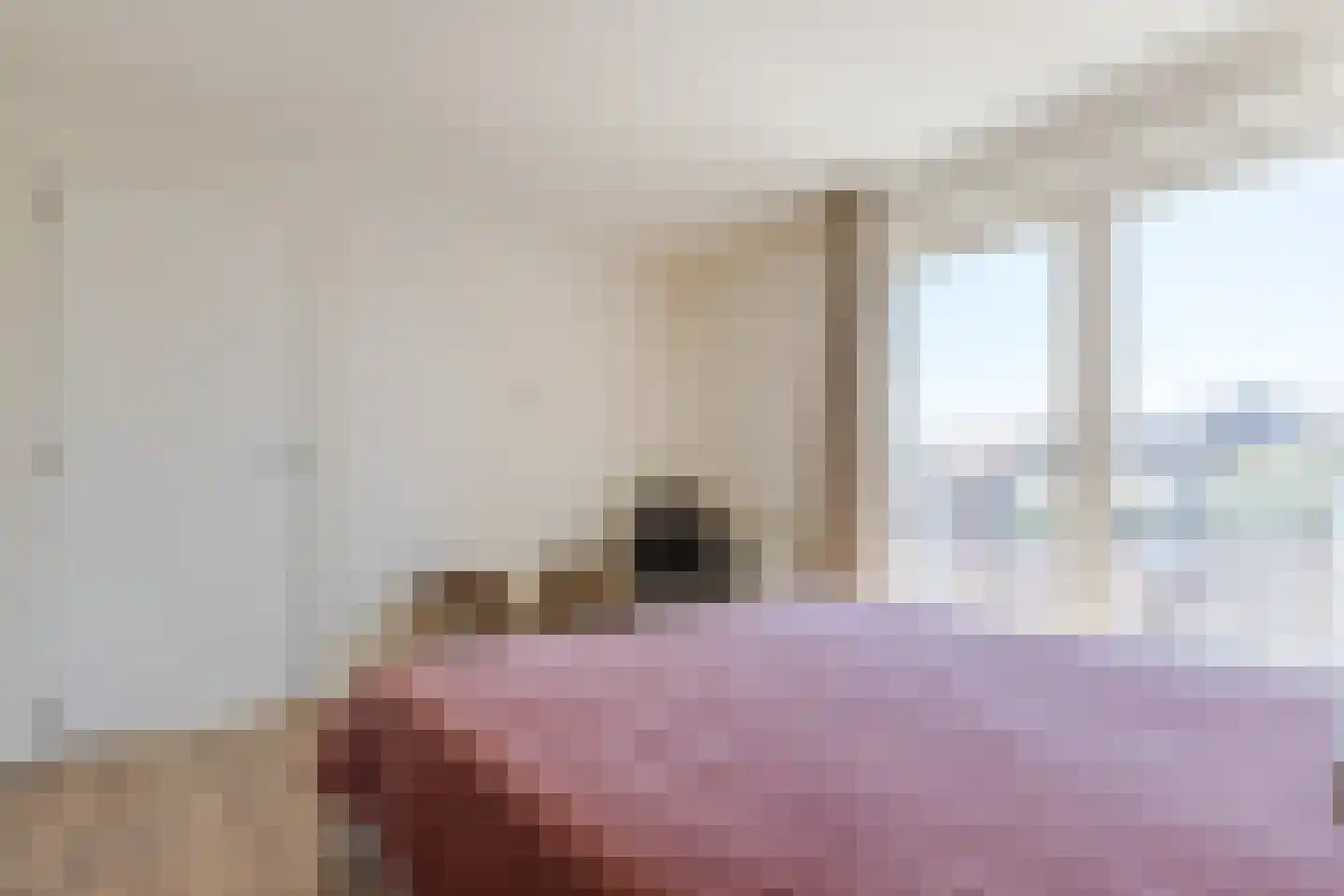 Trompenbergstraat 2 D Egmond aan Zee thumbnail 22
