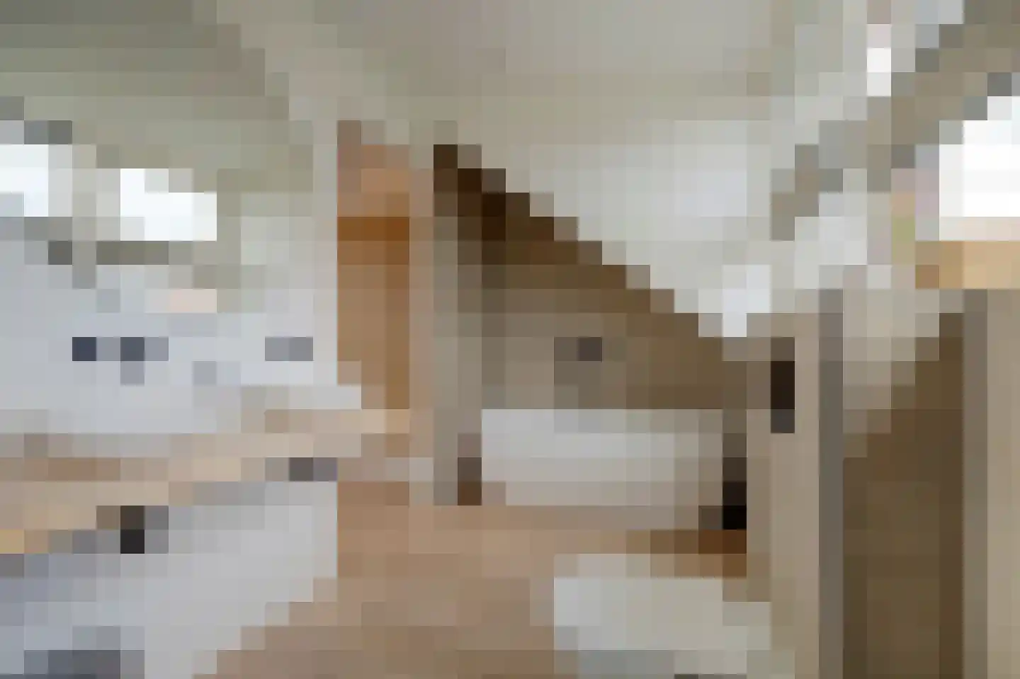 Trompenburg 10 Zeewolde thumbnail 37