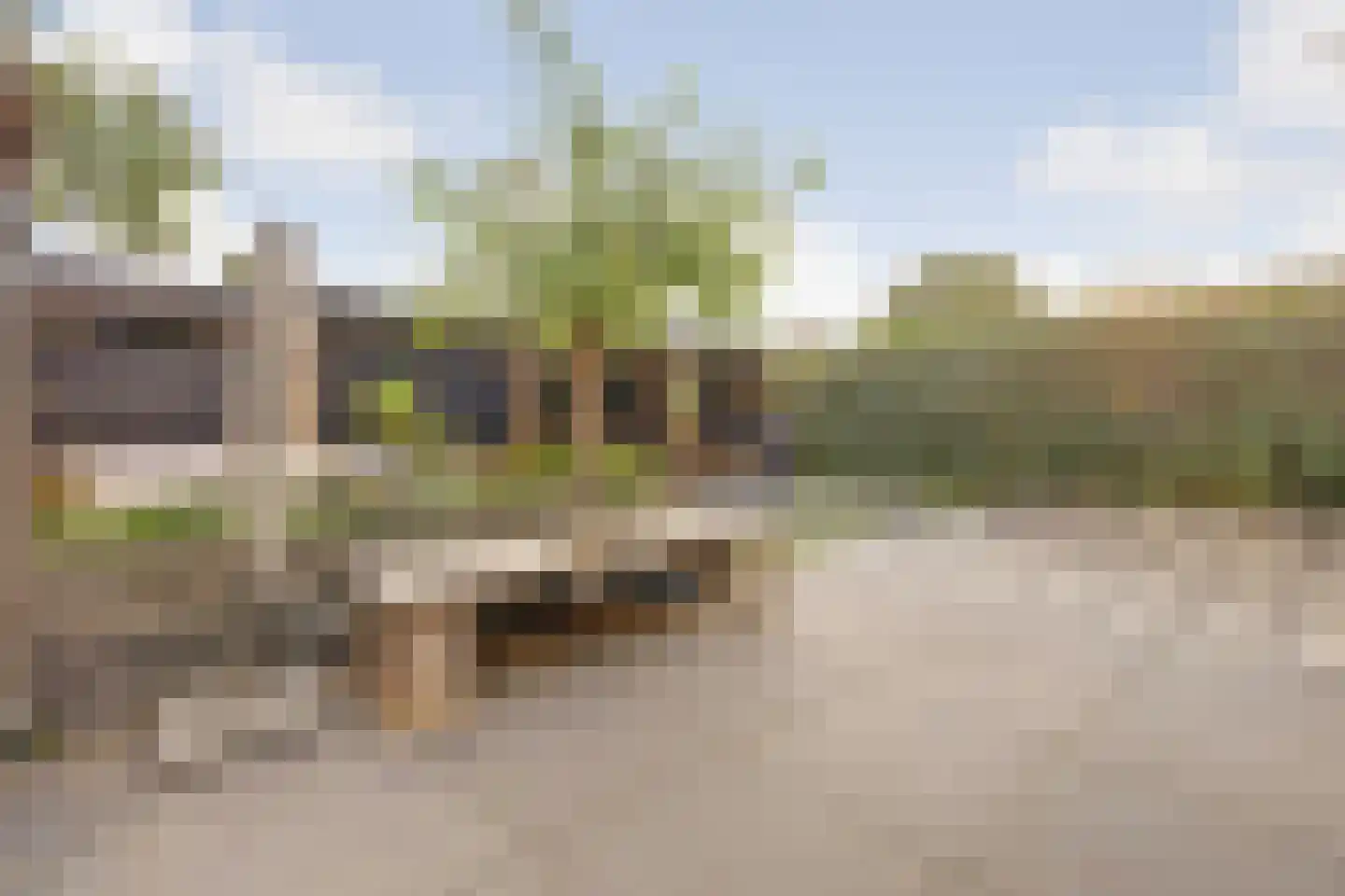 Trompenburg 10 Zeewolde thumbnail 40
