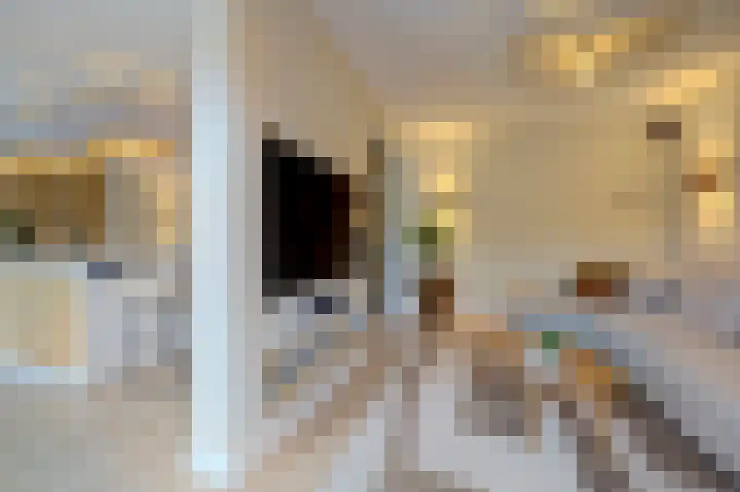 Trompenburg 10 Zeewolde thumbnail 7