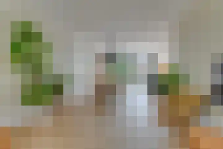 Trompenburg 12 Heiloo thumbnail 12