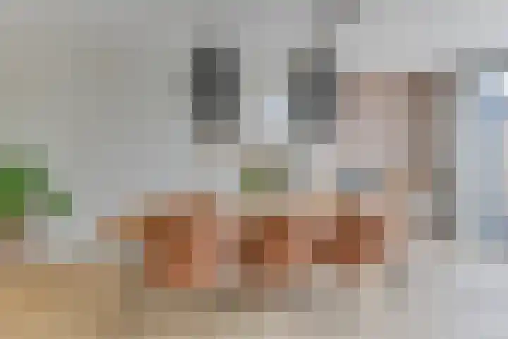 Trompenburg 12 Heiloo thumbnail 14