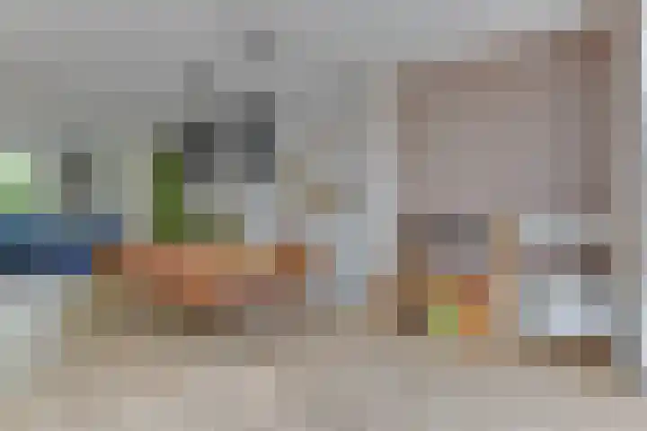 Trompenburg 12 Heiloo thumbnail 15