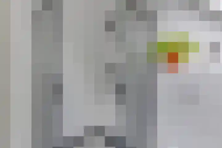 Trompenburg 12 Heiloo thumbnail 31