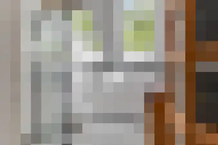Trompenburg 12 Heiloo thumbnail 32