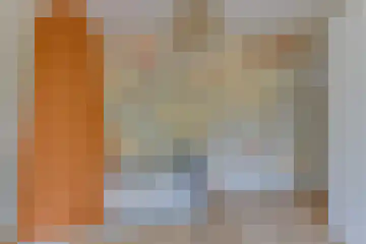 Trompenburg 12 Heiloo thumbnail 36