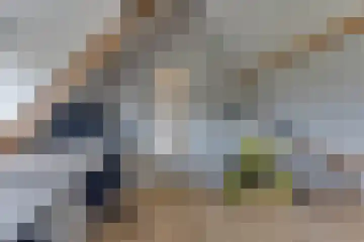 Trompenburg 12 Heiloo thumbnail 40