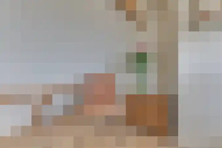 Trompenburg 12 Heiloo thumbnail 41