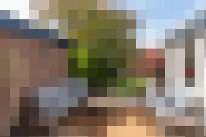 Trompenburg 12 Heiloo thumbnail 42