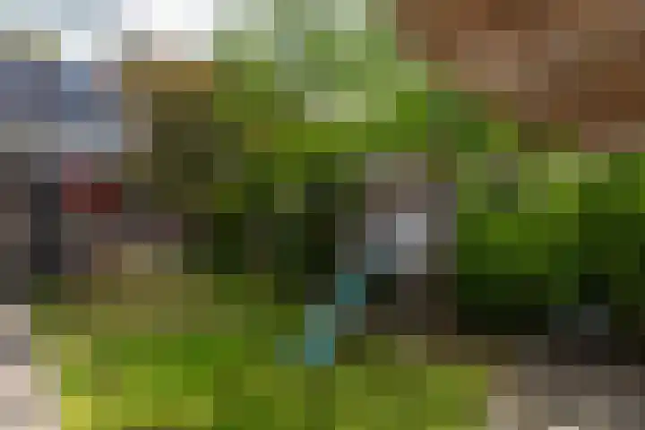 Trompenburg 12 Heiloo thumbnail 44