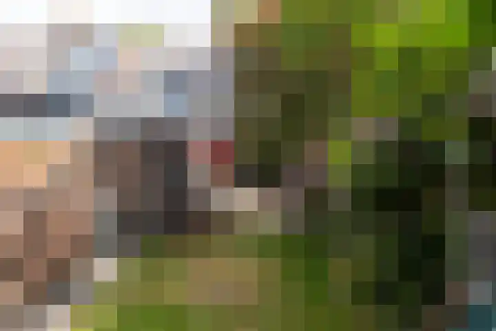 Trompenburg 12 Heiloo thumbnail 46