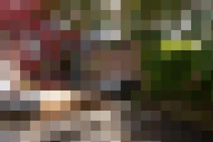Trompenburg 12 Heiloo thumbnail 47