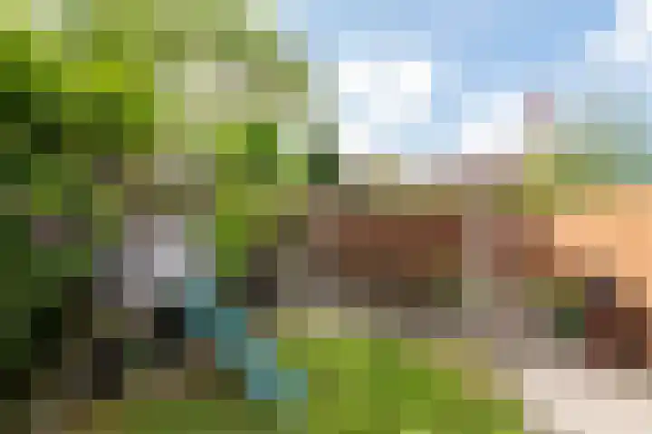 Trompenburg 12 Heiloo thumbnail 5