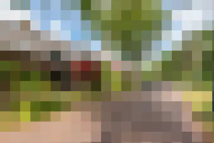 Trompenburg 12 Heiloo thumbnail 50