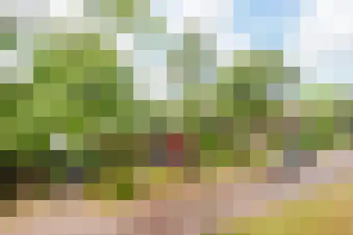 Trompenburg 12 Heiloo thumbnail 51